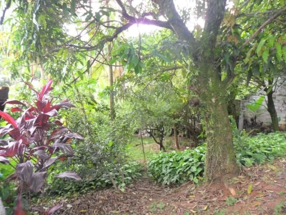 Imagem Sobrado à venda com 3 quartos, sendo 1 suíte, em Vila São Francisco, São Paulo - SP