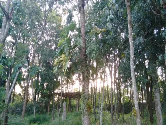 Imagem CASA RESIDENCIAL PARA VENDA E LOCAÇÃO, IVOTURUCAIA, JUNDIAÍ.