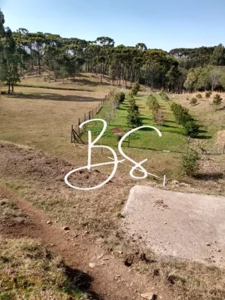 Imagem AREA RURAL em CANELA - RS, São Lucas