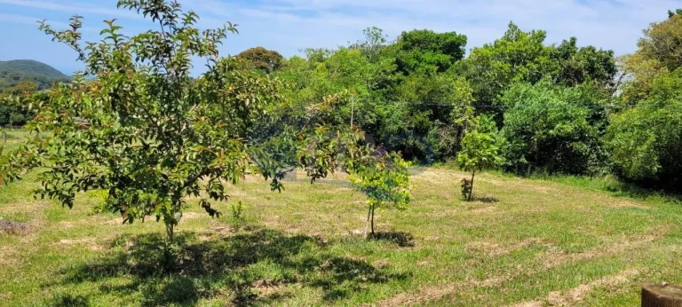 Imagem Sitio a venda em Águas Claras na cidade de Torres