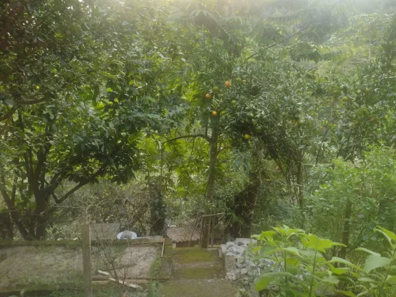 Imagem Fazenda / Sítio / Chácara à venda, 158m² em Santo Amaro da Imperatriz