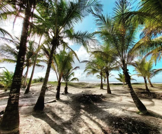 Imagem Paraíso em Serra Grande