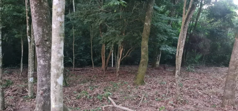 Imagem Terreno à venda em condomínio de alto padrão em Itu-SP, com 875m² de área