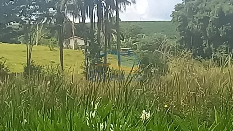 Imagem Rancho - Santo Antônio da Alegria - Poção