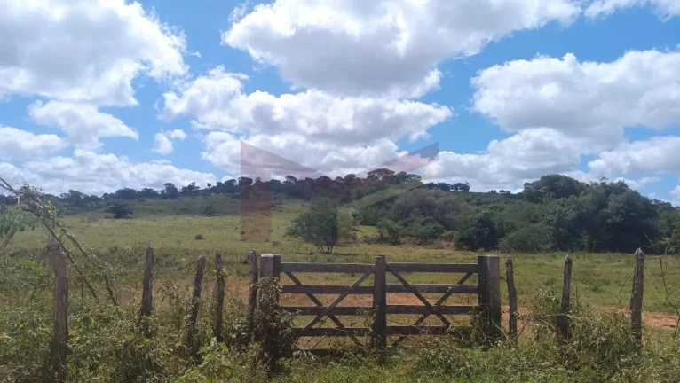 Imagem Terreno à venda - 48 tarefas / Excelente Localização / Próximo à Pista