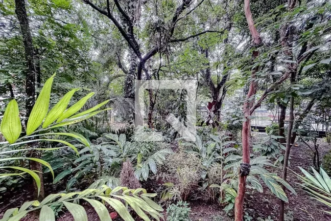 Imagem Apartamento à Venda - Vila Mariana, 3 Quartos, 102 m2