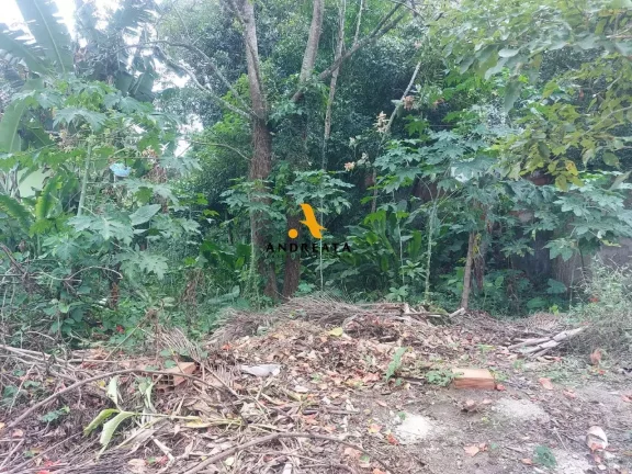 Imagem Estrada dos Bandeirantes - Bosque dos Eucaliptos - excelente lote para construir