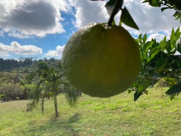 Imagem Terreno à venda, 1225 m² por R$ 500.000,00 - Jardim Chácara Méa - Suzano/SP