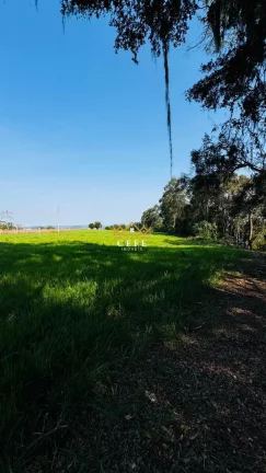 Imagem Chácara - Sítio com 1 Dormitorio(s) localizado(a) no bairro Zona Rural em Nova Hartz / RIO GRANDE DO SUL Ref.:1583