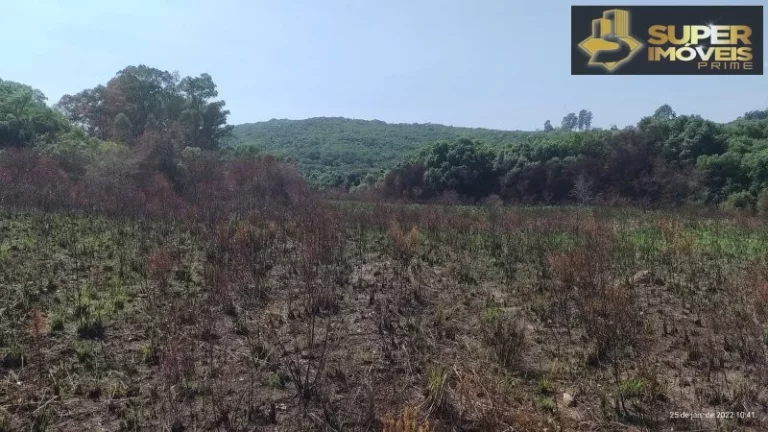 Imagem Fazenda para Venda em Centro Canguçu-RS - 2055