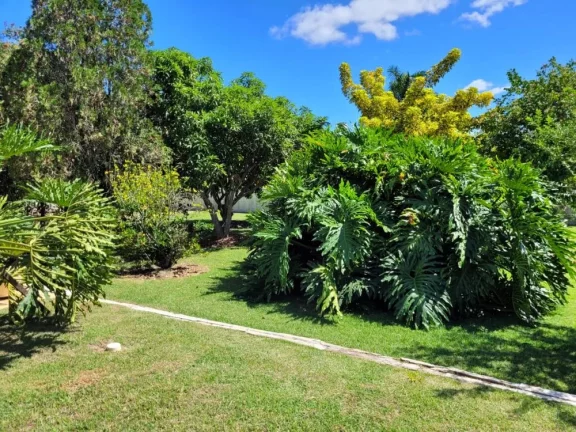 Imagem Belíssimo imóvel a venda no condomínio Ninho Verde I Eco Residence- Porangaba/SP