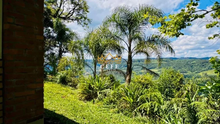 Imagem Chácara - Sítio com 3 Dormitorio(s) localizado(a) no bairro Zona Rural em Santa Maria do Herval / RIO GRANDE DO SUL Ref.:1608