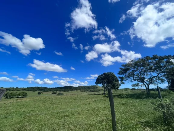 Imagem Vendo em Araruama fazenda 52 alqueires E 350 cabeças de gados.