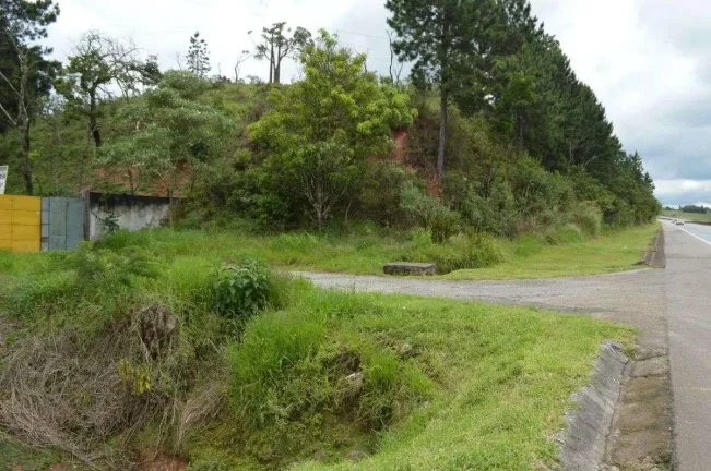 Imagem Terreno, 40.000,00m2, à venda