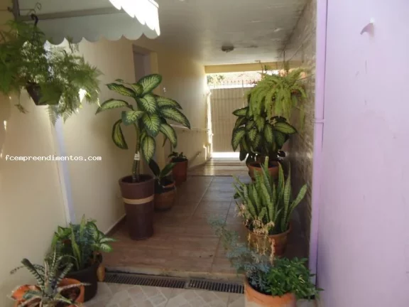 Imagem Sobrado para Venda em Limeira, Vila Castelar, 5 dormitórios, 3 banheiros, 1 vaga