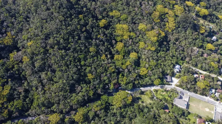 Imagem Terreno no Estaleiro