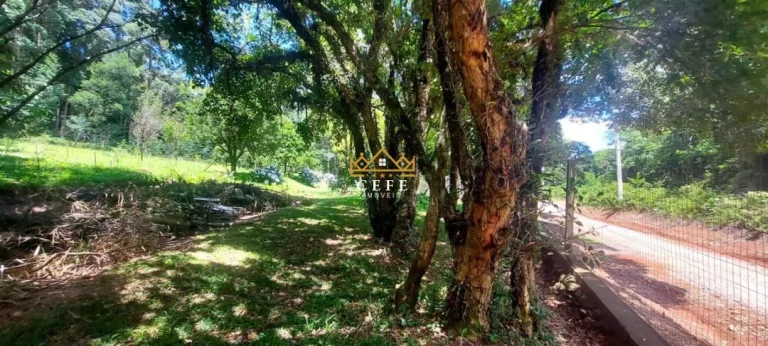 Imagem Chácara - Sítio com 2 Dormitorio(s) localizado(a) no bairro Carapina em São Francisco de Paula / RIO GRANDE DO SUL Ref.:1537