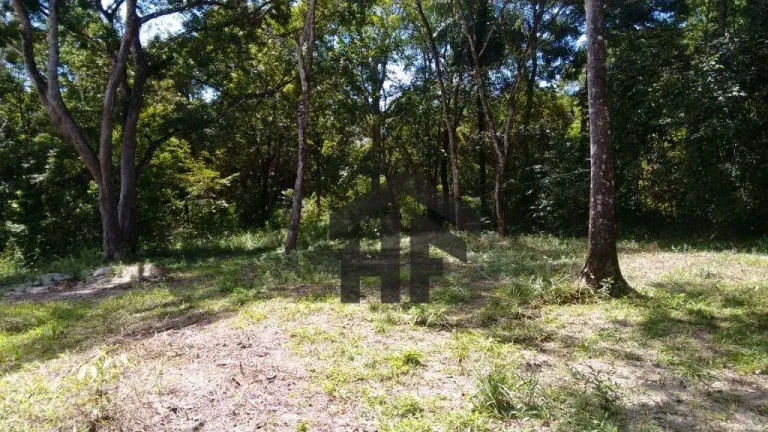 Imagem Terreno de 10.700m² à venda, localizado em Enseada dos Corais, Cabo de Santo Agostinho - Pernambuco.