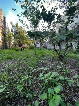 Imagem Terreno para Venda em Atibaia, Jardim Paulista