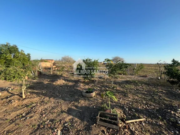 Imagem Fazenda/Sítios/Chácaras no bairro zona rural, em Coronel João Sá