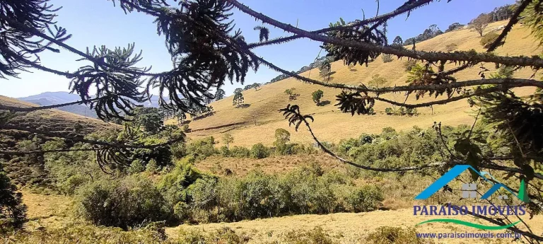 Imagem Conecte-se à Natureza: Terreno Rural com Nascente e Vista Panorâmica!