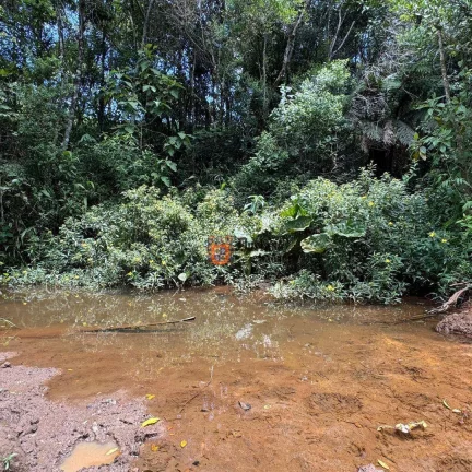 Imagem Área à venda, 13 alqueires paulista por R$ 5.300.000 - São Mateus - Camanducaia/MG