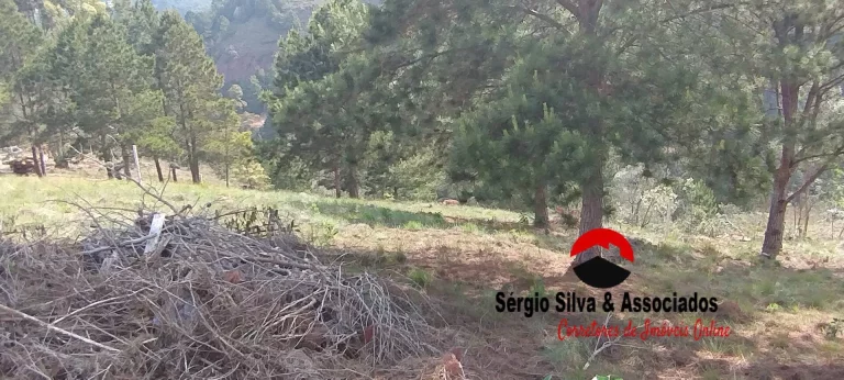 Imagem Terreno a Venda na Região do Atalaia em Campos do Jordão -SP.