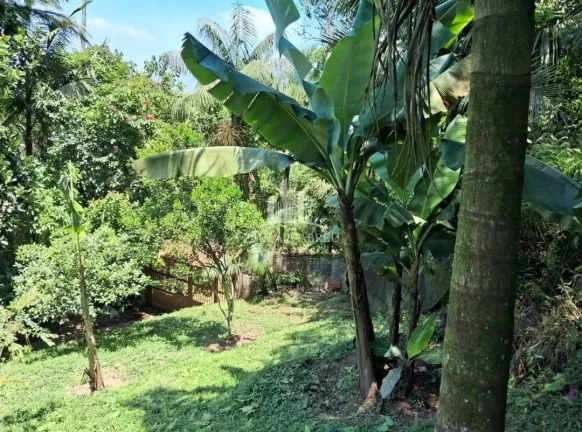 Imagem Chácara 1.600m², Escritura, 3 Quartos, sendo 2 Suítes, Vários pé frutas, no Rio Grande da Serra-SP