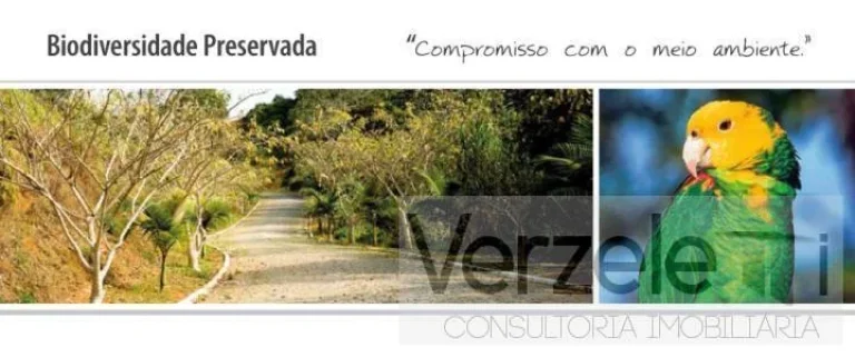 Imagem Terreno para Venda em Itajaí / SC no bairro Praia Brava de Itajaí