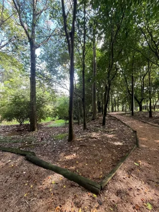 Imagem TERRENO 1000 m² PARA VENDA NO PARQUE DOS RESEDÁS, ITUPEVA SP