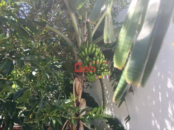 Imagem Casa com 4 dormitórios à venda, 450 m² por R$ 9.500.000,00 - Ogiva - Cabo Frio/RJ