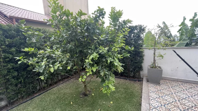 Imagem Apartamento Garden Duplex Cana Jurê