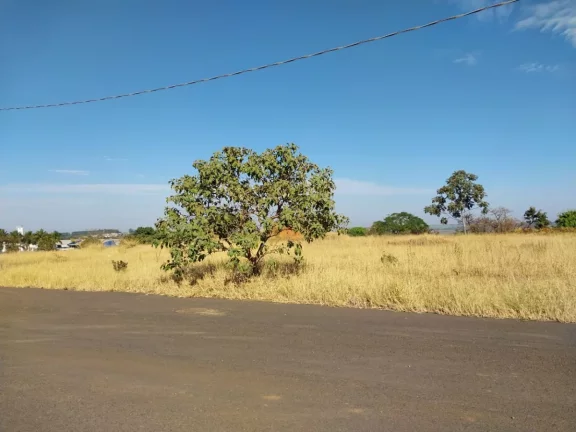 Imagem Terreno industrial para venda em Centro - Restinga, 1,100m2