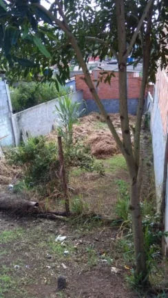 Imagem Terreno à venda, 200 m² por R$ 90.000,00 - Jardim Dora - Suzano/SP