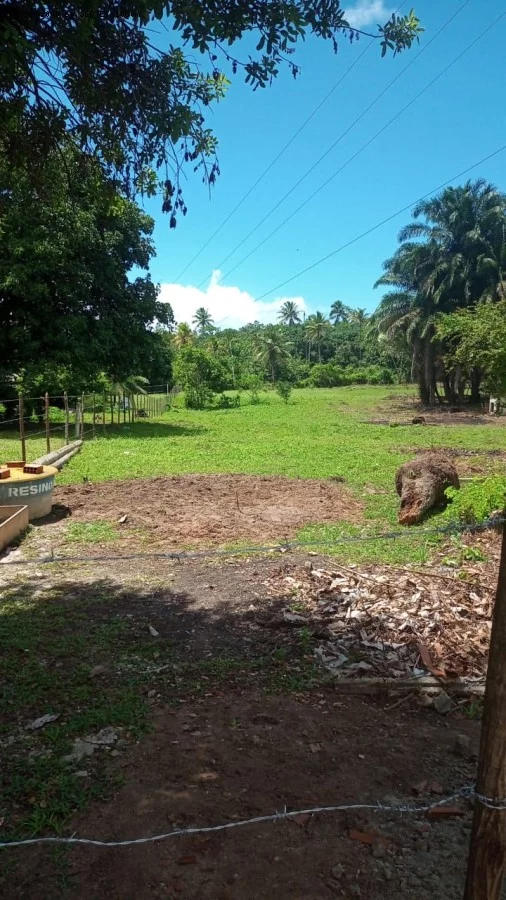 Chácara à Venda, 6.100 m² em Santa Rita - Igarassu