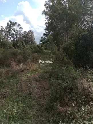 Imagem Oportunidade de casa em Itaara