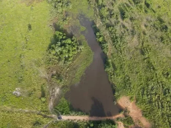 Imagem Oportunidade Única: Fazenda Espetacular à Venda! Mundo Novo GO.