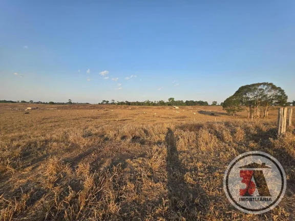 Imagem 412hec muito TOP a 32km C/ 32 piquetes Rotacionados