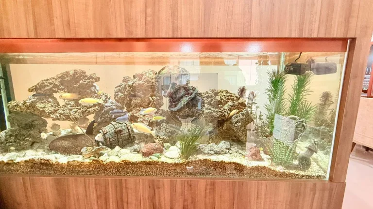 Imagem Apartamento em Praia de Itaparica - Vila Velha