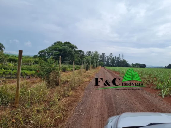 Imagem Área para Venda em Limeira, BAIRRO PARRONCHI