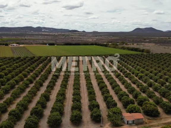Imagem Lote de 15 hectares, escriturado e quitado na CODEVASF, PETROLINA - PE