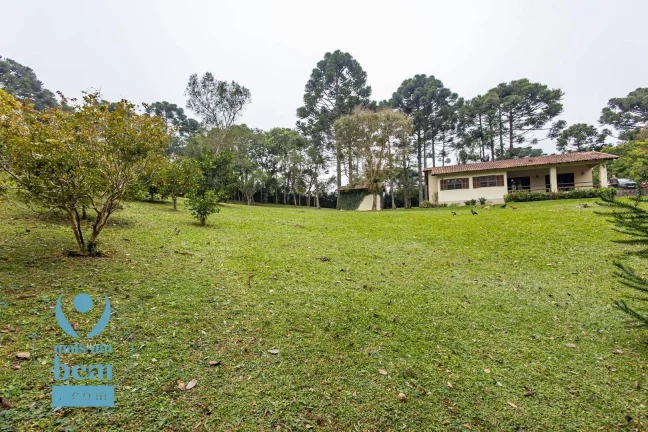 Imagem Belíssima Chácara com 3 dormitórios à venda, 6000 m² por R$ 1.400.000 - Salgadinho - Campo Largo/PR