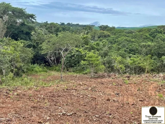 Imagem Chácaras Parceladas com Área Verde e o Rio Pirapitinga
