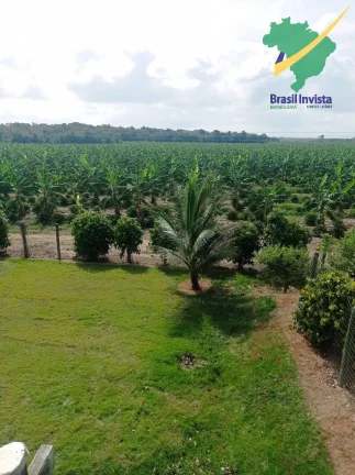Imagem FAZENDA COM EXCELENTE PRODUÇÃO PRÓXIMA A PORTO SEGURO