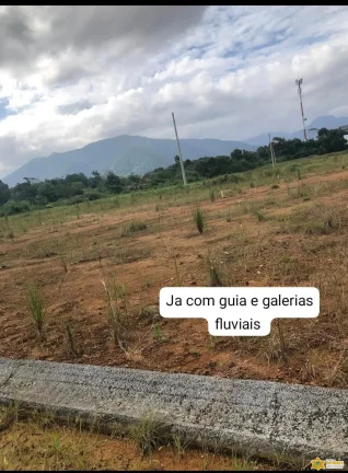 Imagem Vendo lote documentado no Jardim Tropical - Estufa 2