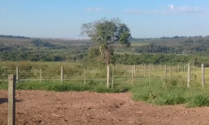 Imagem Sítio - Vende Promissão ( prox. Marília) e Região/SP