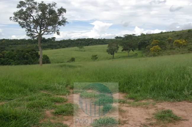 Fazenda em Cajuru 72 alqueires com soja, gado, braquiária e estrutura, 75 km de Ribeirão Preto - SP