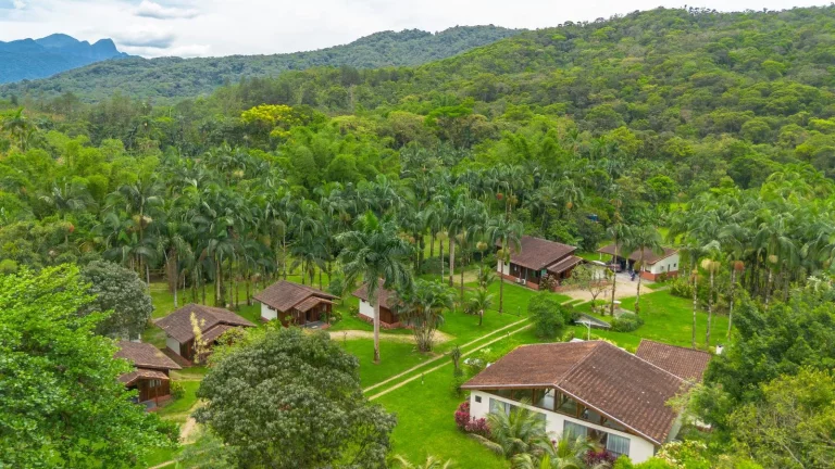 Imagem Chácara 81.756,00 m2 Porto de Cima