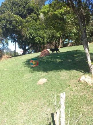 Imagem CHÁCARA COM CASA SEDE - PISCINA - EXCELENTE OPORTUNIDADE