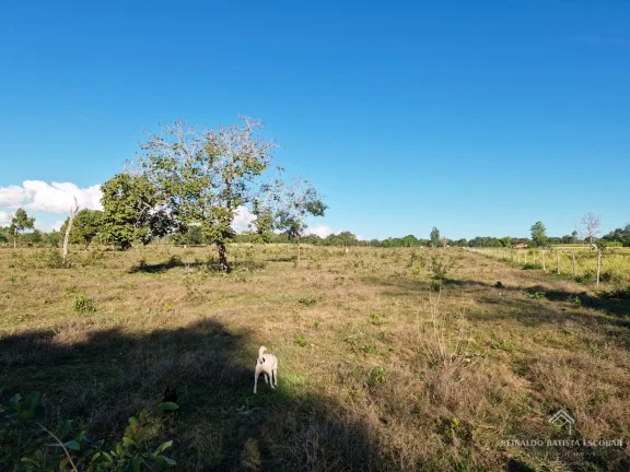 Imagem Chácara 7,8 hectares em Rochedo-MS
